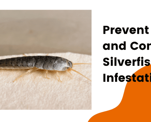 prevent silverfish infestations