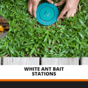 White Ant Bait Stations White Ant Bait Stations